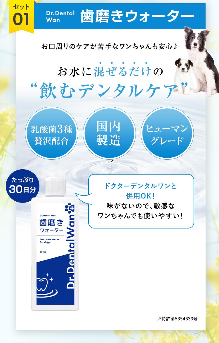 ドクターデンタルワン｜サンテミナ株式会社