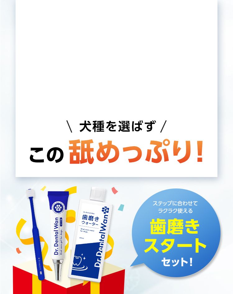 ドクターデンタルワン｜サンテミナ株式会社