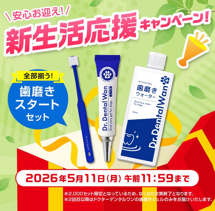 ドクターデンタルワン｜サンテミナ株式会社
