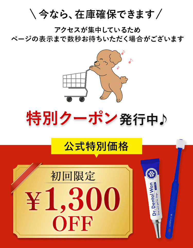 ドクターデンタルワン｜サンテミナ株式会社
